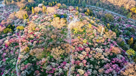 Ảnh: Xinhua