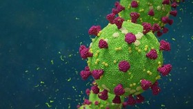 Ảnh minh họa. (Nguồn: drugtargetreview.com)