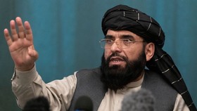Suhail Shaheen từng là phát ngôn viên và nhà đàm phán của Taliban.