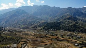 The spectacular terraces of Mu Cang Chai in northern Vietnam lie up to 1,000 metres above sea level