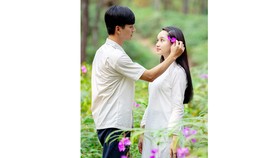 Mắt biếc là bộ phim để lại nhiều ấn tượng tốt với công chúng