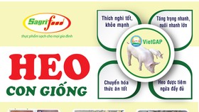 Chọn con giống tốt giảm thiểu rủi ro từ đơn vị lâu năm
