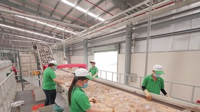 Dây chuyền tái chế rác thải nhựa tại Công ty TNHH Nhựa tái chế Duy Tân