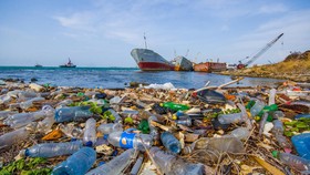Góp sức giải quyết ô nhiễm nhựa đại dương