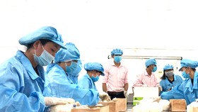 Đưa Bến Tre trở thành tỉnh khá của khu vực ĐBSCL