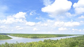 Vẻ đẹp sông nước, rừng ngập mặn Cần Giờ