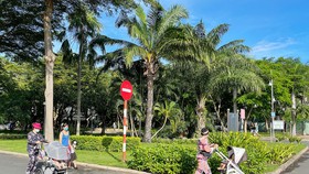 Công viên Cảnh Đồi phường Tân Phong, quận 7 được phép mở cửa cho người dân tập luyện. Ảnh: HOÀNG HÙNG