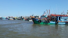Đồng bằng sông Cửu Long: Phát triển bền vững nghề cá