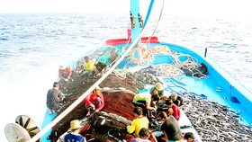 Khai thác thủy sản bền vững, chuyên nghiệp - Làm đúng để đi xa: “Thẻ xanh” ngay tầm mắt, nhưng...