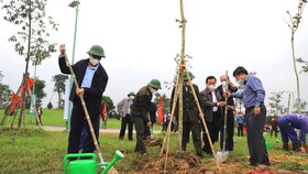 Lãnh đạo UBND tỉnh Hà Tĩnh cùng người dân trồng cây xanh