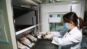 Lượng máu dự trữ giảm mạnh
