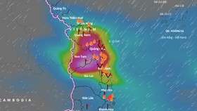 Đến chiều 28-11, khu vực từ Thừa Thiên - Huế đến Ninh Thuận và Tây Nguyên có mưa to