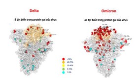 Hình ảnh so sánh lượng đột biến giữa Delta và Omicron. Ảnh: Ansa