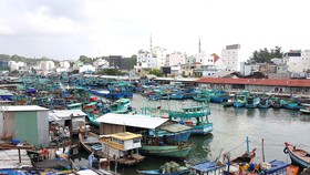 Khoảng 3.000 tàu cá ra vào, neo đậu thường xuyên góp phần gây ô nhiễm sông Dương Đông