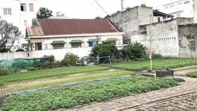 Chủ thửa đất đã rào chắn để trồng rau