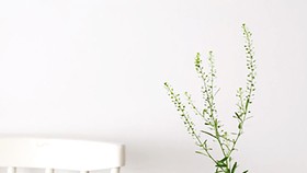 Sản phẩm sữa 3 Con Dê mang đến nguồn dinh dưỡng tốt nhất cho người tiêu dùng