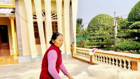 Những tấm mặt mây được đan, sửa và hong khô tại nhà anh Phạm Ngọc Tấn, xã Thượng Hiền