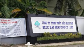 Gây ô nhiễm môi trường, một công ty bị phạt hơn 1,1 tỷ đồng