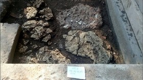 Xuất lộ nền móng di tích điện Thái Hòa