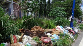 Bãi rác tự phát gây ô nhiễm