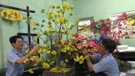 Đón tết ở Bố Lá
