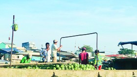Đời ghe, đời người…