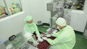 Ngành công thương TPHCM: Triển khai 14 danh mục đề án, chương trình trọng điểm