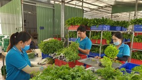 Đầu tư công nghệ để phát triển bền vững