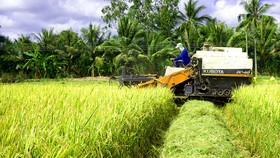 “Hạt ngọc” nhân đôi niềm vui