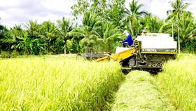 Nâng tầm gạo miền Tây