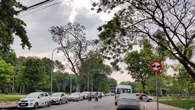 Quyết liệt xử lý tình trạng đậu xe tùy tiện