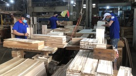 Cơ hội phát triển vật tư nông nghiệp trong nước