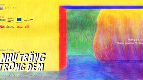 Trình chiếu, trò chuyện, trưng bày về phim Việt Nam