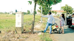 Ngăn sốt đất để tránh hệ lụy