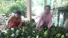 Giảm phí logistics, tăng sức cạnh tranh cho nông sản