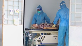 Sự sống từ những ngày “mưa bão”: Giữ từng nhịp thở