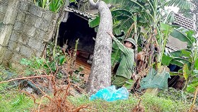 Nghệ An ngập nặng do... mưa lớn