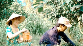 Mạng xã hội - Cần thiết hay thiết yếu?