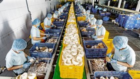 3 tháng cuối năm, giải ngân vốn đầu tư công đạt từ 95% trở lên