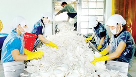 Đẩy mạnh sản xuất kinh doanh với tinh thần “Đồng thuận - sáng tạo”