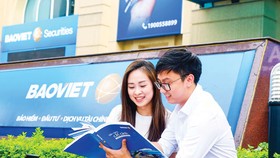Cổ tức: Thước đo hiệu quả của BVH