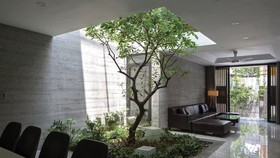 Không gian xanh cho nhà phố thị