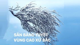 Săn băng tuyết vùng cao xứ Bắc