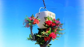 Khám phá vườn bonsai mọc ngược giữa phố