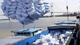Bốc xếp gạo xuất khẩu tại cảng Sài Gòn.