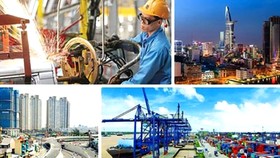 Thành lập các hội đồng phát triển các ngành kinh tế
