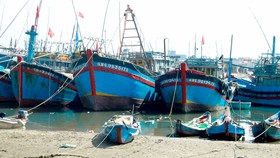 Quảng Ngãi: Tàu cá không thể ra khơi vì luồng lạch bị bồi lấp