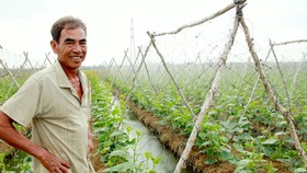 Nhờ chuyển đổi sản xuất hợp lý, nông dân huyện Long Phú, tỉnh Sóc Trăng được vụ hoa màu Ảnh: TUẤN QUANG