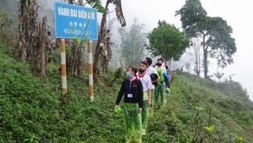 Bắt đường dây đưa 19 người xuất cảnh trái phép sang Trung Quốc, khởi tố 3 đối tượng