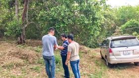 Ảnh chỉ mang tính chất minh họa.